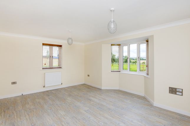 Link-detached house to rent in Spring Field Way, Sutton Courtenay, Abingdon