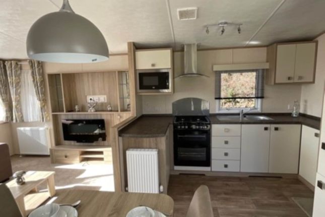 Carnaby Oakdale, Porthmadog photo 5