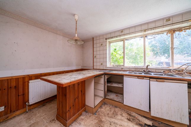 3, Wrights Orchard, Aston photo 4