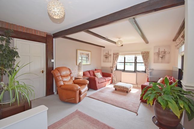 Kitchen - Dining - Living Room