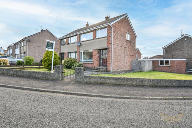 12, Fairview Crescent, Newtownabbey photo 2