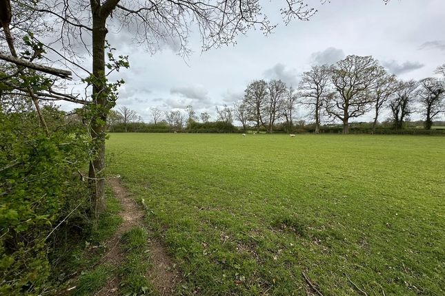 Thumbnail Land for sale in St. Piers Lane, Lingfield
