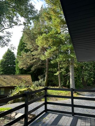 Loch Tay Highland Lodges, Milton Morenish Estate, Killin photo 4