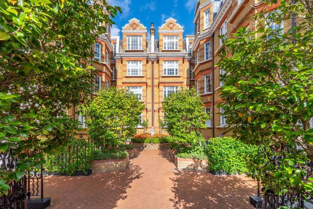 Pitt Street, Kensington photo 3