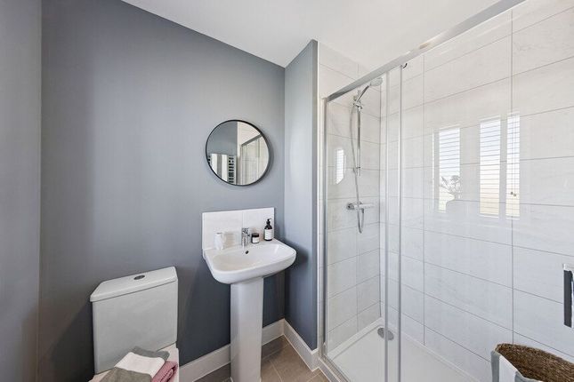 The Shellduck, Rochester photo 3