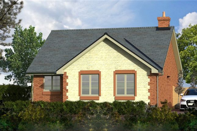 Thumbnail Bungalow for sale in Blanchard Fields, Brighstone, Newport