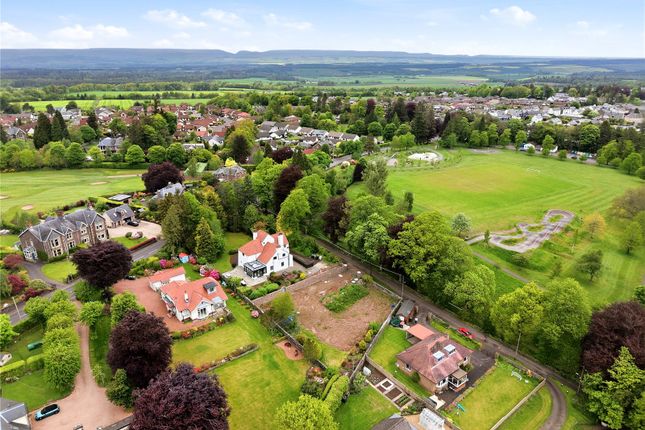 Keithleyhead Plot, Auchterarder photo 5