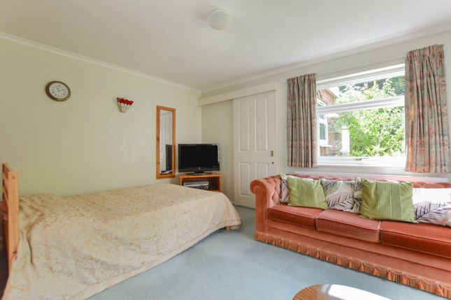 Living/Bedroom