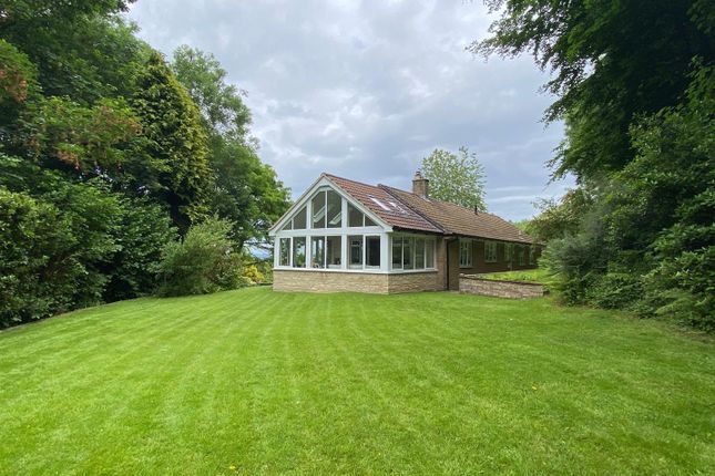Detached bungalow for sale in Lobbs Lane, Barrington, Ilminster