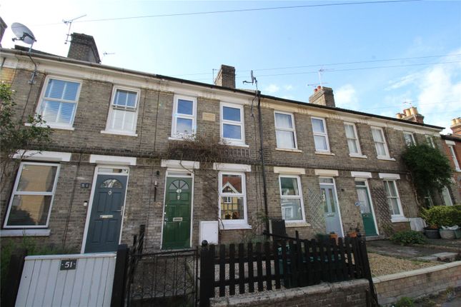 Thumbnail Terraced house to rent in Salisbury Avenue, Colchester