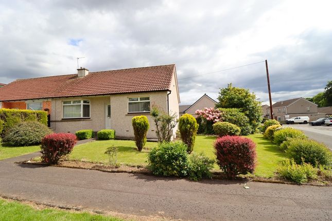 Thumbnail Semi-detached bungalow to rent in Starlaw Crescent, Bathgate