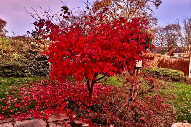 Glen Vine, Pendean Close, Alfreton photo 2