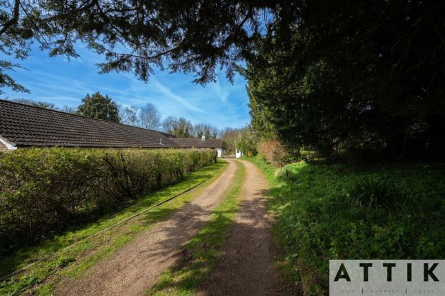 Detached bungalow for sale in Chediston, Halesworth
