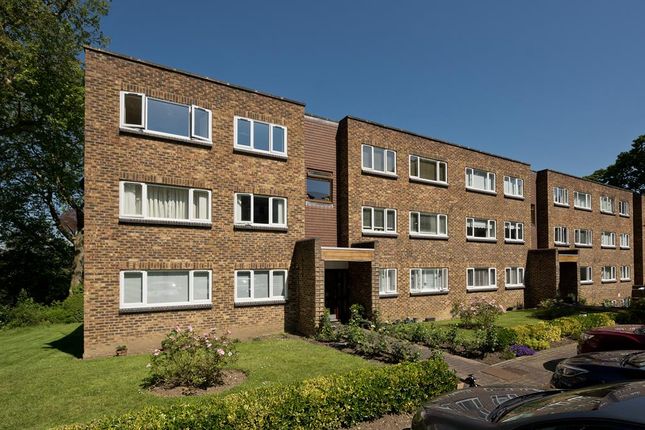 Thumbnail Flat to rent in Farrington Acres, Vales Road