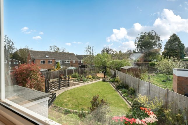 4, Hill Drive Eastry, Sandwich photo 4