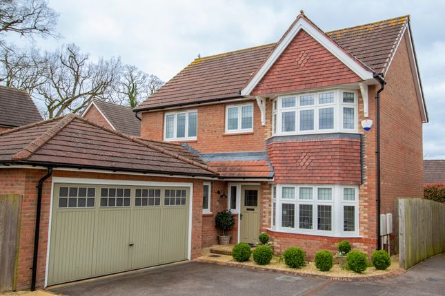 Thumbnail Detached house for sale in Fairfax Way, Ottery St. Mary