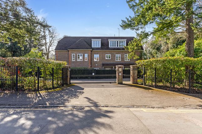 4 Evergreen, Cross Road, Ascot photo 4