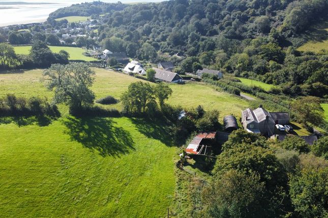 Parcnwc, Carmarthen photo 5
