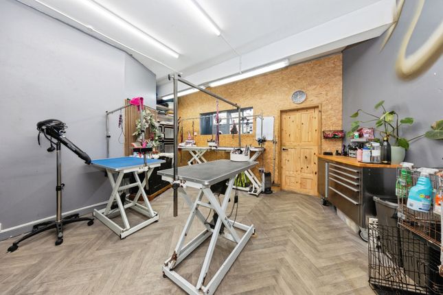 Louisianna Grooming Service, 28, New Dock Road, Carmarthenshire photo 4