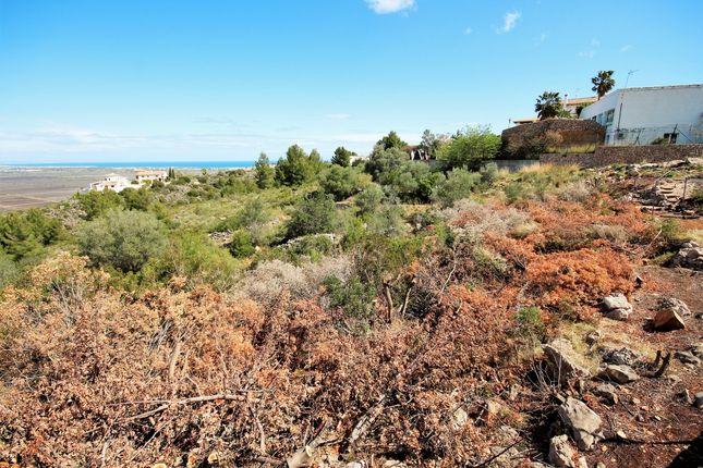 Thumbnail Land for sale in Alicante -, Alicante, 03780