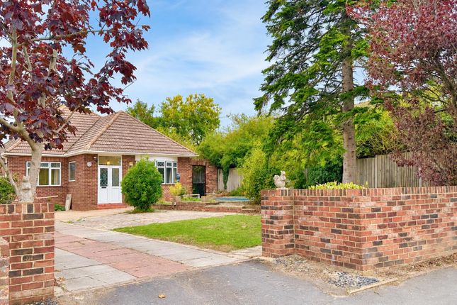 77, Harley Shute Road, St. Leonards-On-Sea photo 4
