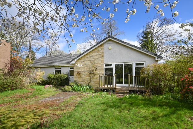 Thumbnail Detached bungalow for sale in Church Street, Cupar