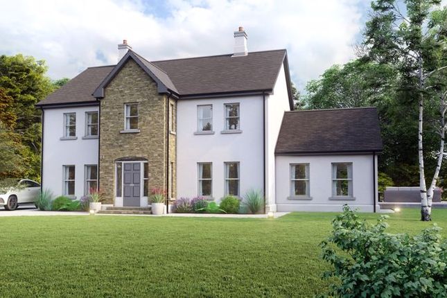 Thumbnail Detached house for sale in Lissenderry, Aughnacloy