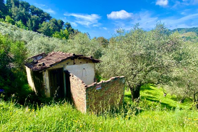 Country house for sale in Località Curli, Perinaldo, Imperia, Liguria, Italy