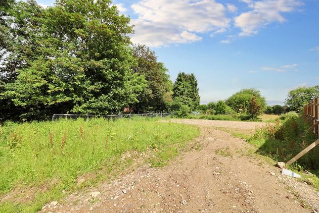 Alfold farms and land for sale Buy farms and land in Alfold