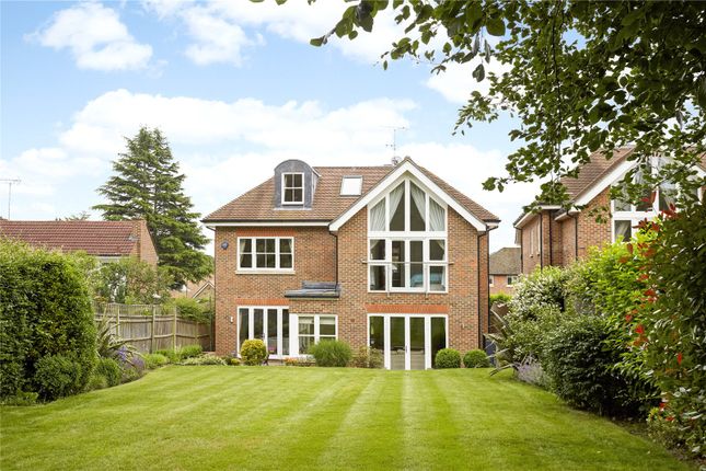 property for sale in ockham surrey property for sale in ockham surrey