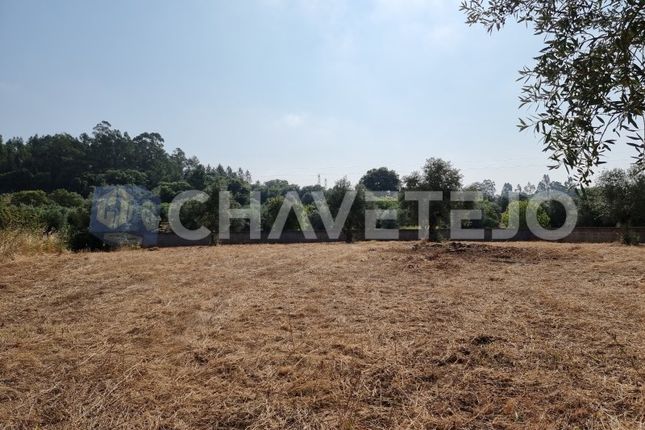 Land for sale in Junceira, Serra E Junceira, Tomar