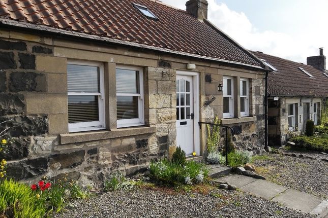 Thumbnail Cottage to rent in The Row, Letham, Cupar
