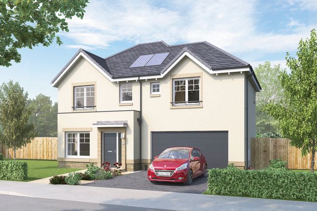 Thumbnail Detached house for sale in "Westbury" at Sycamore Drive, Penicuik