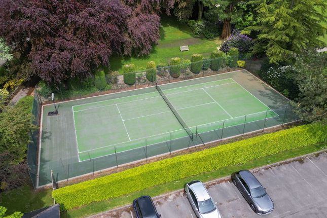 Drone6_1716207950300