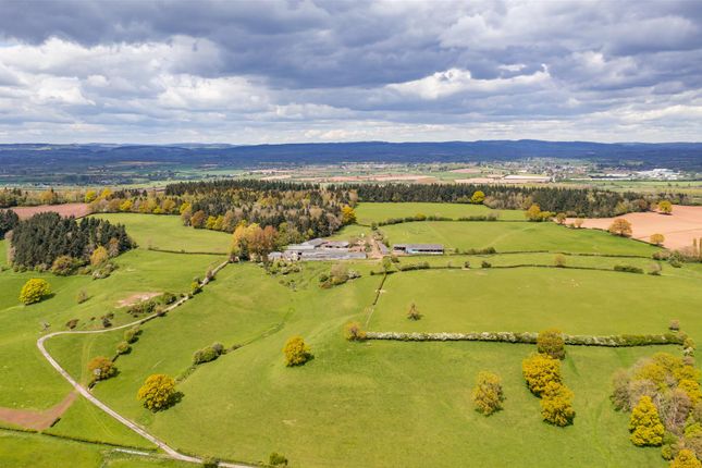 Thumbnail Farmhouse for sale in Pervin Farm, Hope Under Dinmore, Leominster