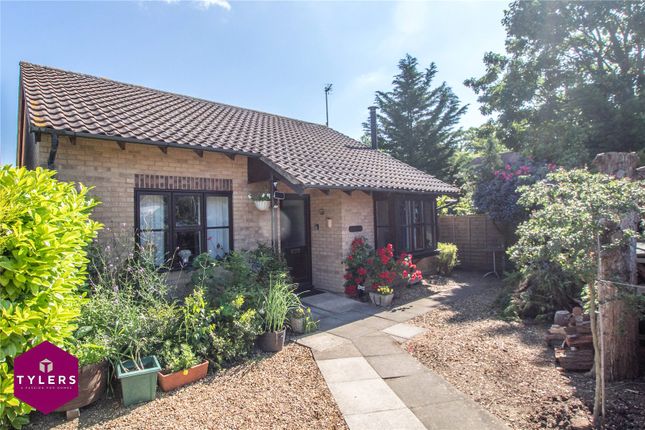 Thumbnail Bungalow for sale in Homefield Close, Impington, Cambridge
