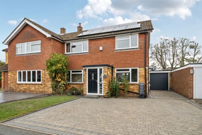 1358888-24-68d686...