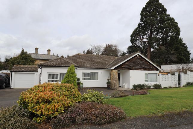 Thumbnail Bungalow for sale in Priory Close, East Farleigh, Maidstone
