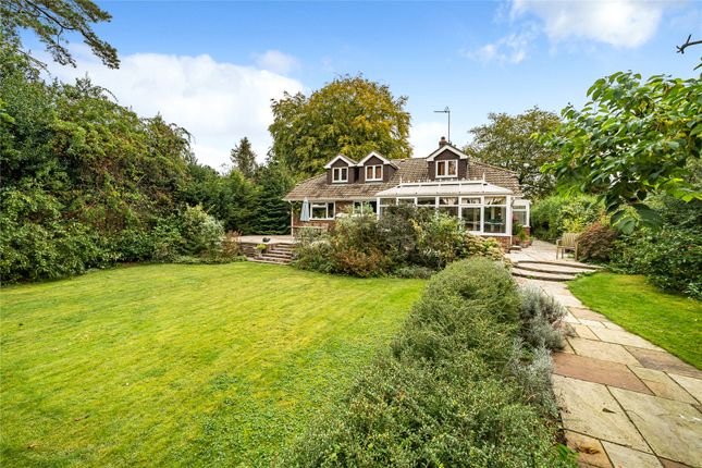 Thumbnail Bungalow for sale in Beacon Hill, Hindhead, Surrey