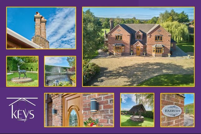 Fairview Collage.Jpg