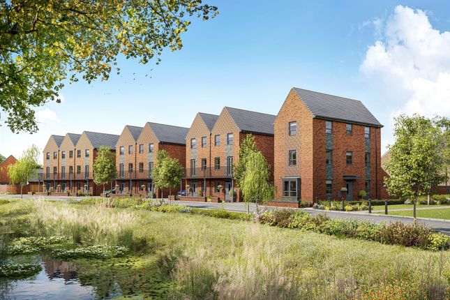 Street Scene Homes Facing Pond