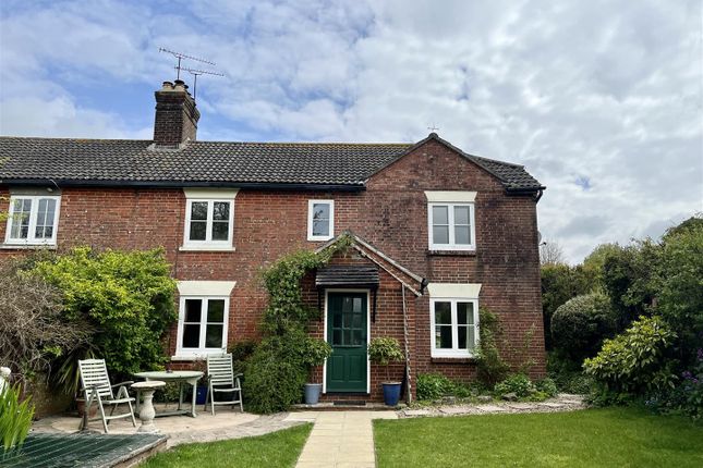 Semi-detached house to rent in Handley Green, Sixpenny Handley, Salisbury