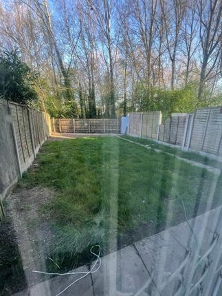 Back Garden.Jpeg