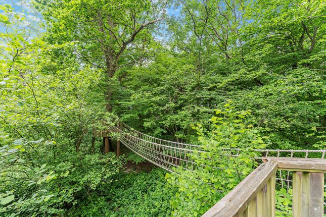 Tree House