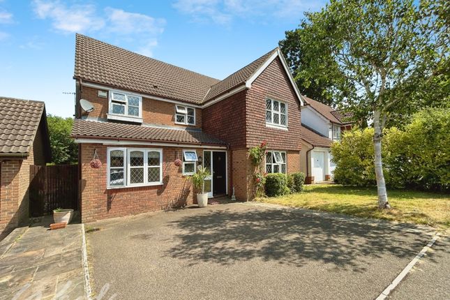 Thumbnail Detached house to rent in Polley Close, Pembury, Tunbridge Wells