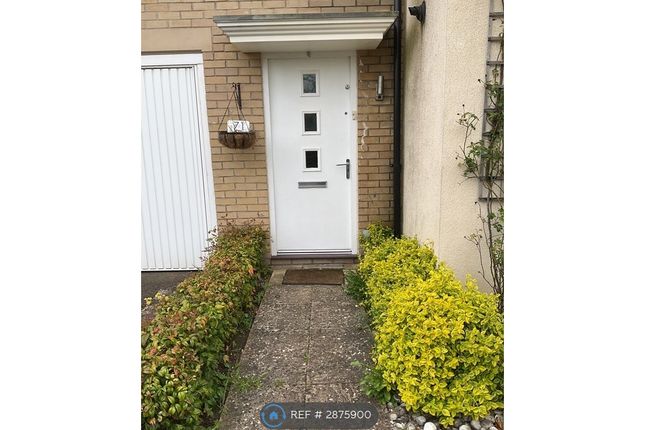 Cranesbill Close, Cambridge photo 2