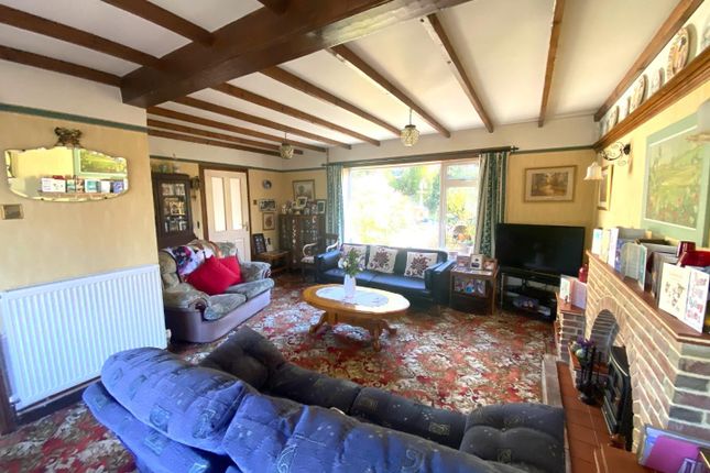 2, Underwood Road, Glastonbury photo 4