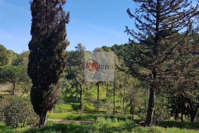 Land for sale in 8970 Alcoutim, Portugal