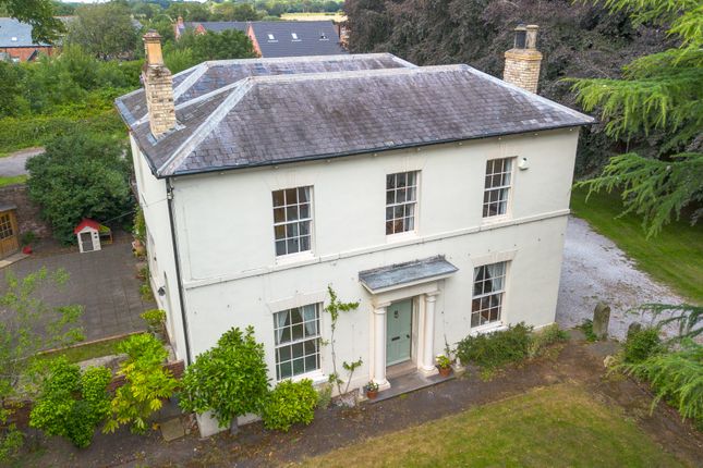 Beechgrove6