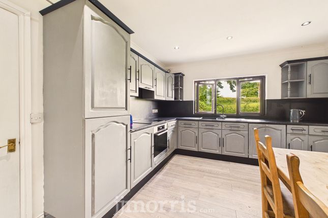 Moreville, Haverfordwest photo 2